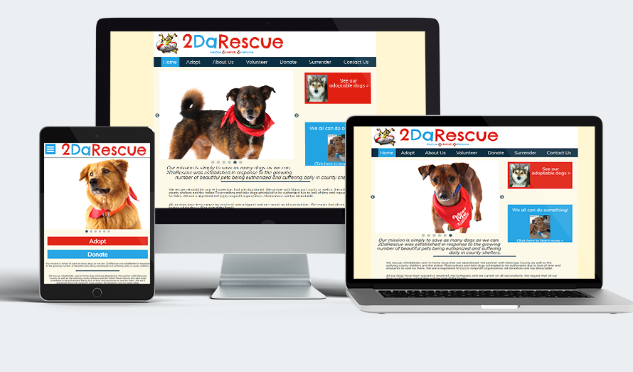 2DaRescue website displayed on desktop, laptop, and tablet.