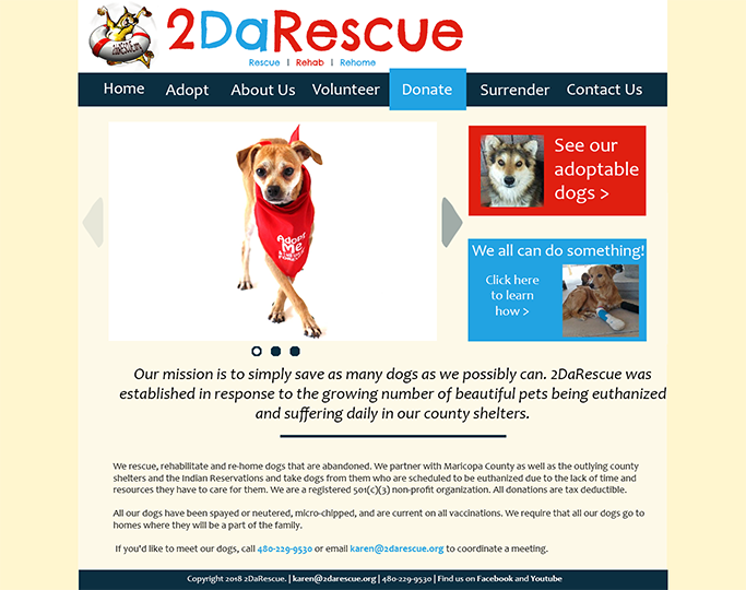 Mockup for the desktop homepage of the updated 2DaRescue website