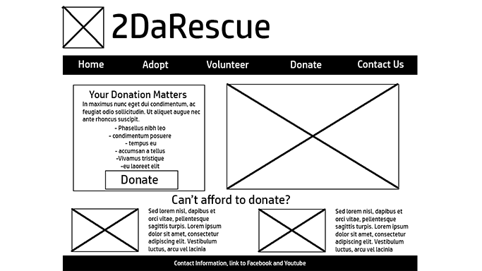 Wireframe for the desktop donate page of the updated 2DaRescue website